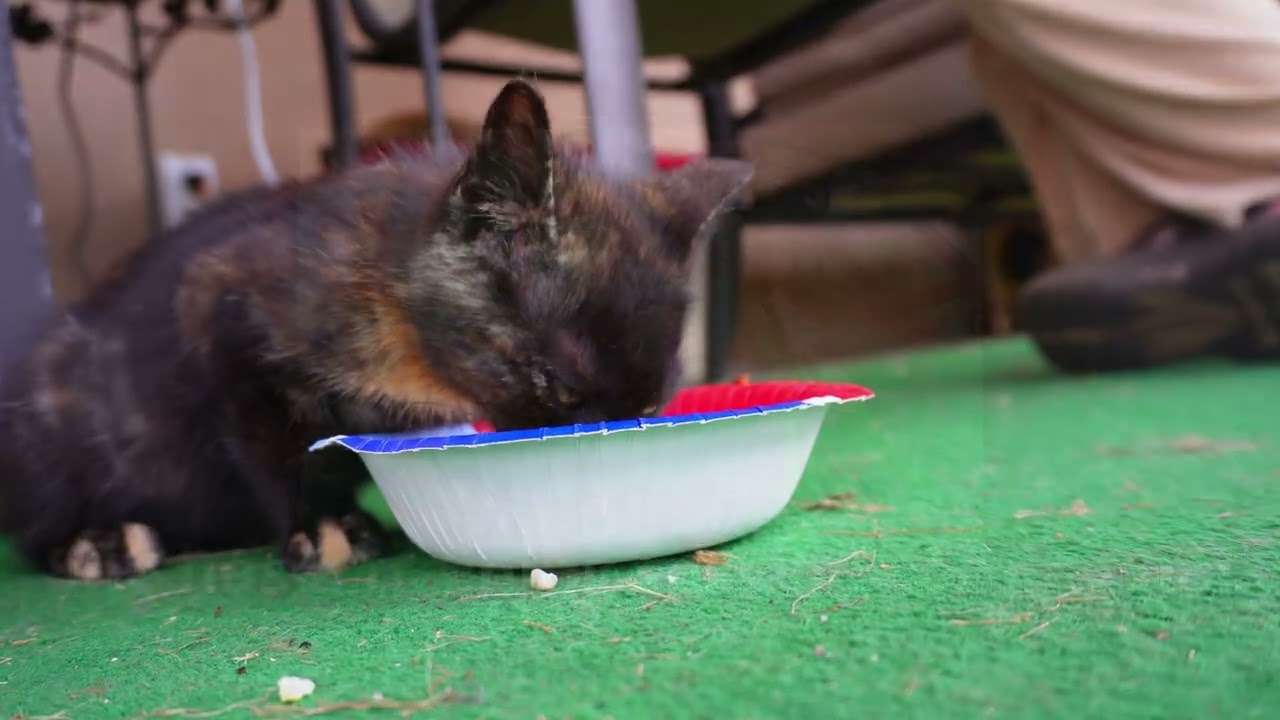 Breakfast with Philberta