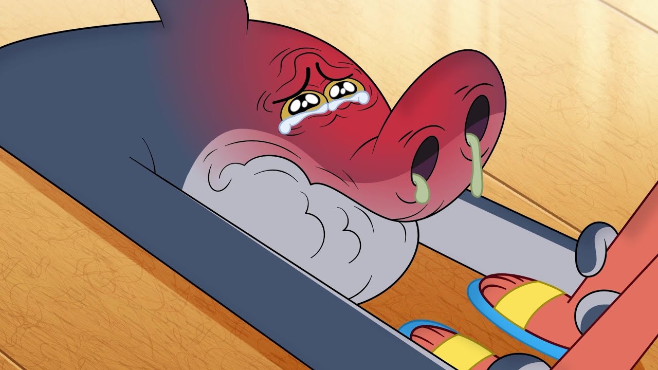 Zig und Sharko |  NEUE STAFFEL 4 😭 Sein schlimmster Albtraum | Volledige aflevering in HD