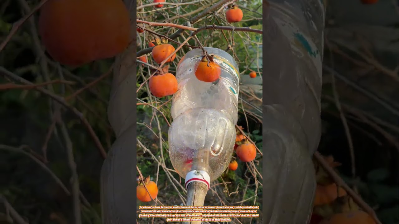 The Innovation of Homemade Fruit Picker