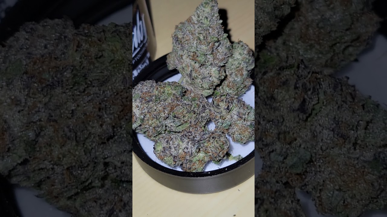 Kryptochronic by Alien Labs