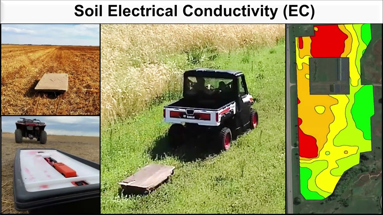 2026 Crop Hour: February 11 - Smarter Nitrogen Fertilization with Crops as Biosensors