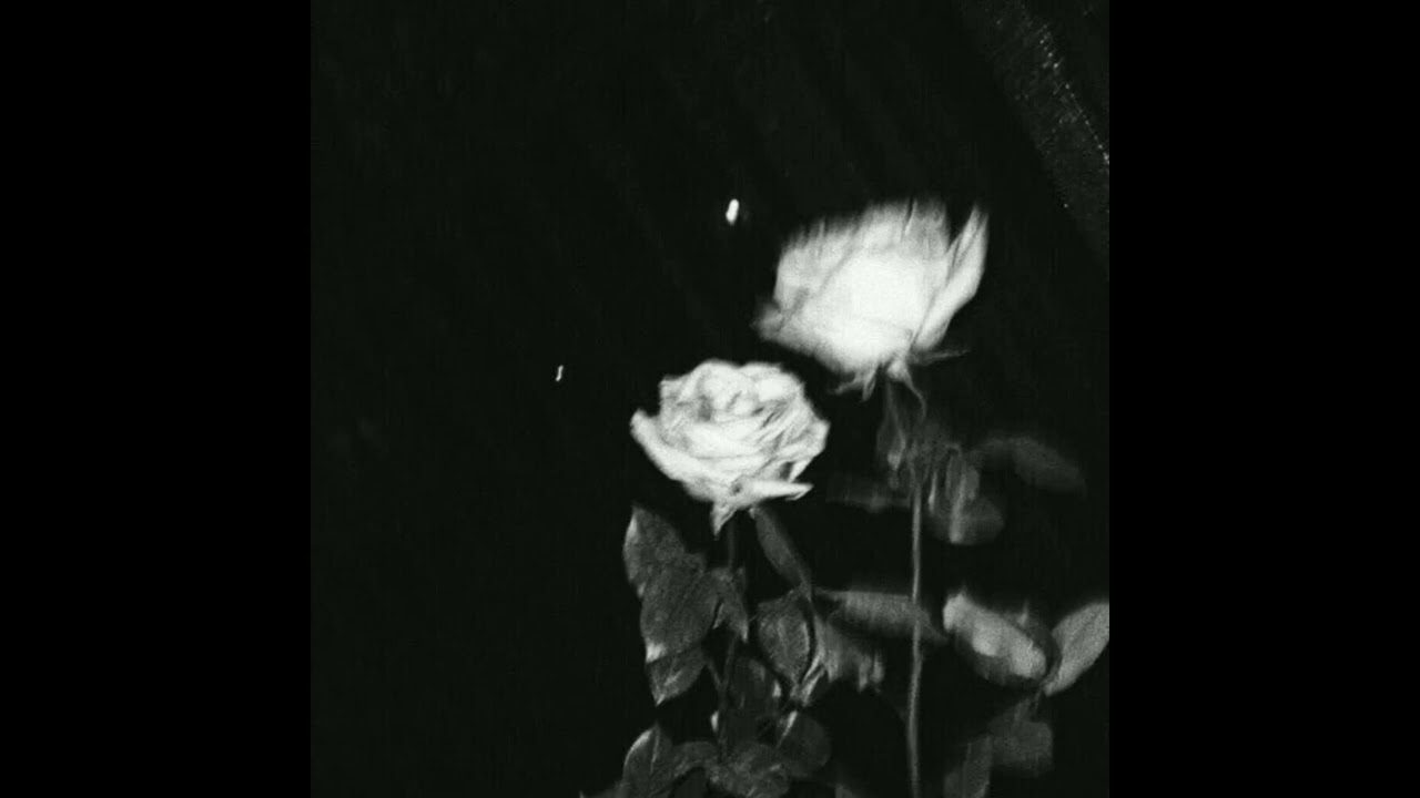 [free] old lil peep x nedarb type beat 