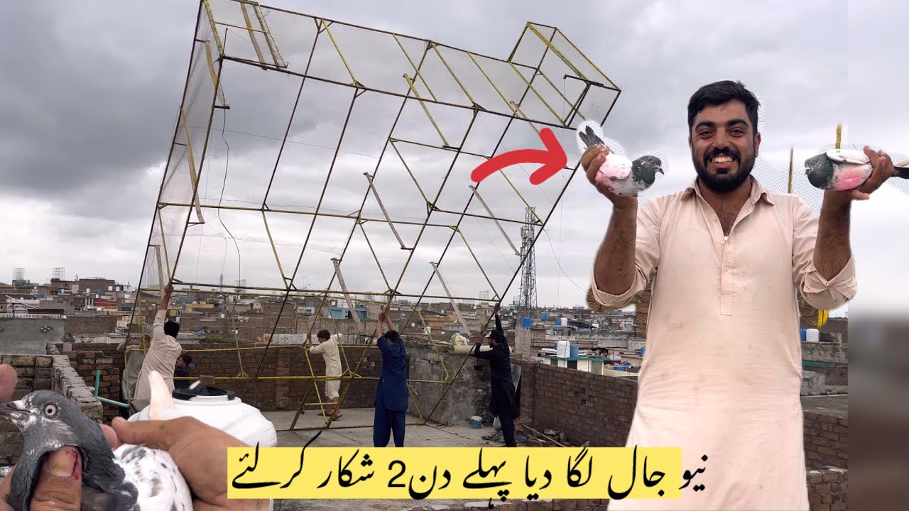 New jal Kara kar dia 🥳2 kabootar pakar lie new jal sa