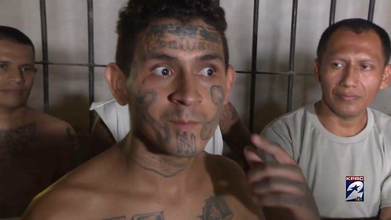 Inside MS-13: The Brutal Reach from El Salvador to Houston (Full Series)