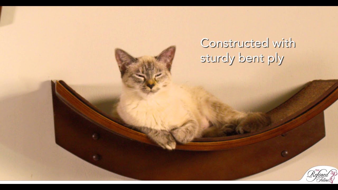 Lotus Branch and Leaf Cat Shelves from The Refined Feline
