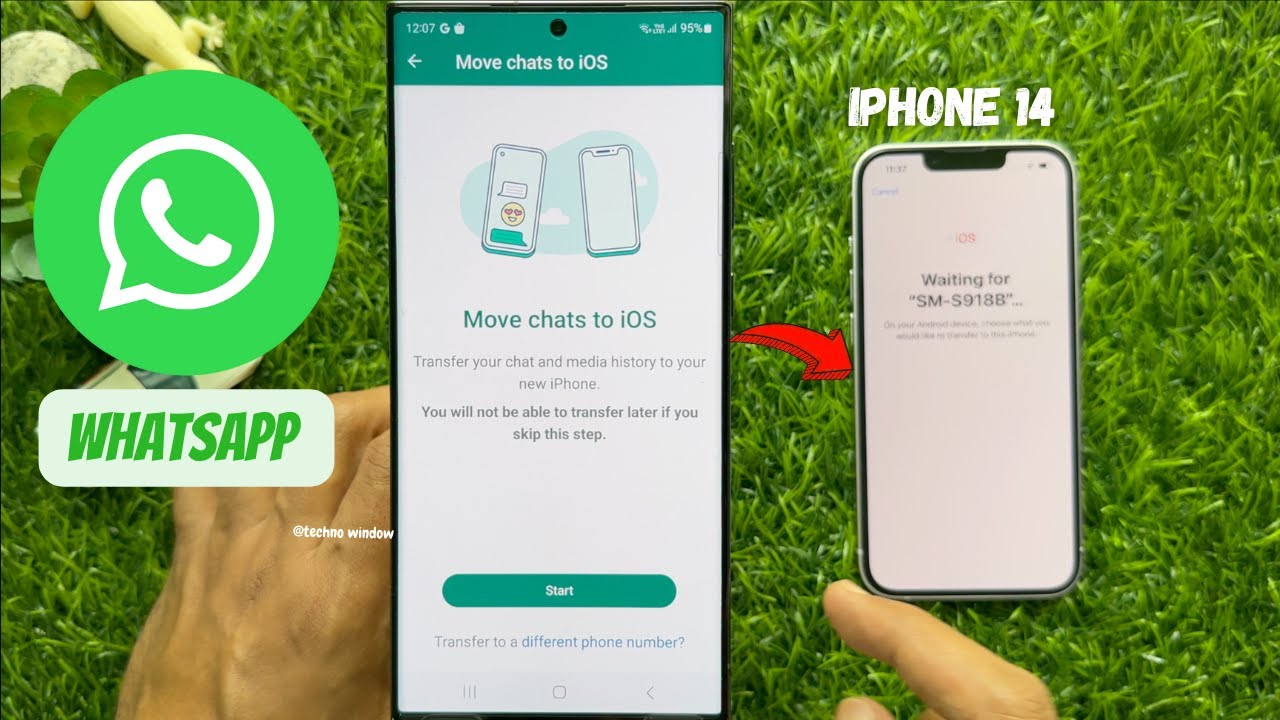 Как перенести чаты WhatsApp с Android на iPhone (2023)