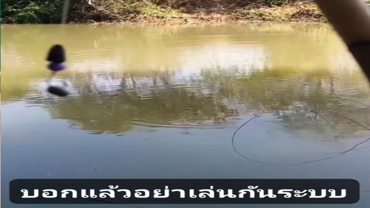 ตกปลากด (คลิปเต็ม) บอกแล้วอย่าเล่นกับระบบ..รัวรัว!! #หมานของใหญ่ #fishing