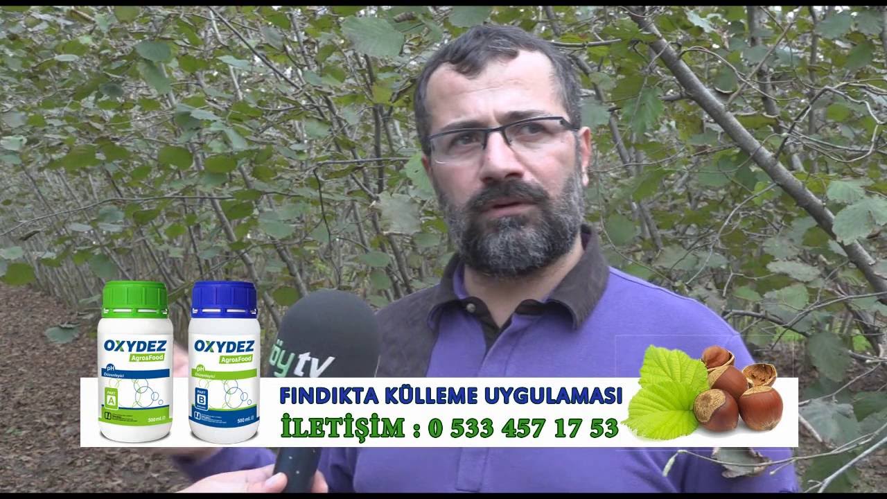 Fındık külleme Oxydez Uygulama
