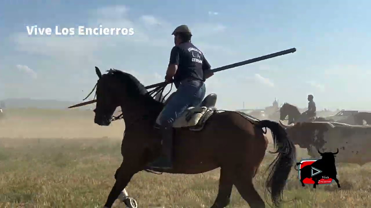 🔴 ENCIERRO CAMPERO CANTIMPALOS 2023