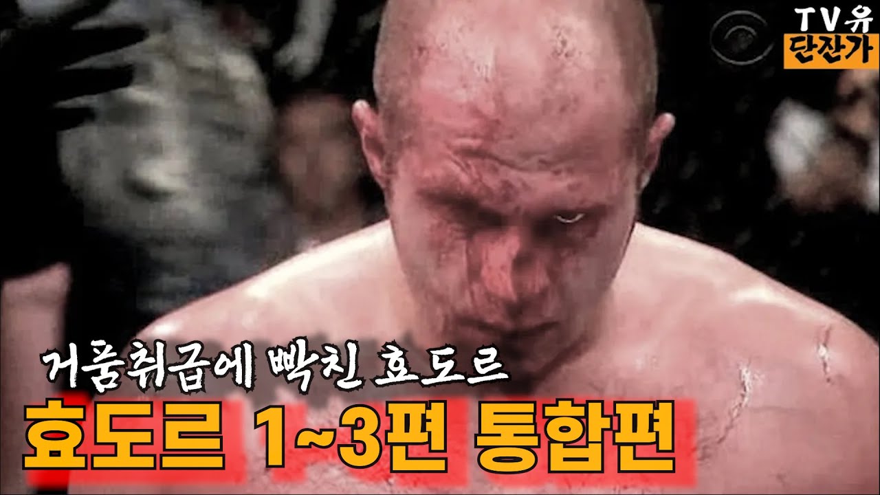 낭만그자체 레전드 효도르 경기 모음