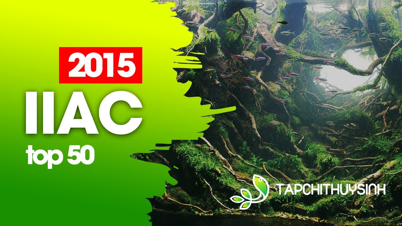 TOP 50 - IIAC 2015 - ISTA International Aquascaping Contest 2015