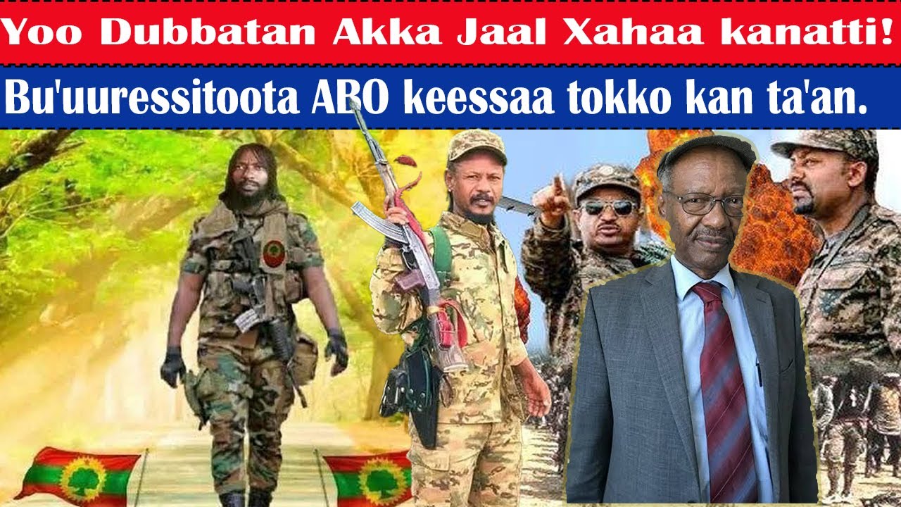 Yoo dubbatan akka Jaal Xahaa kanatti! Bu'uuressitoota ABO keessaa tokko kan tahan.