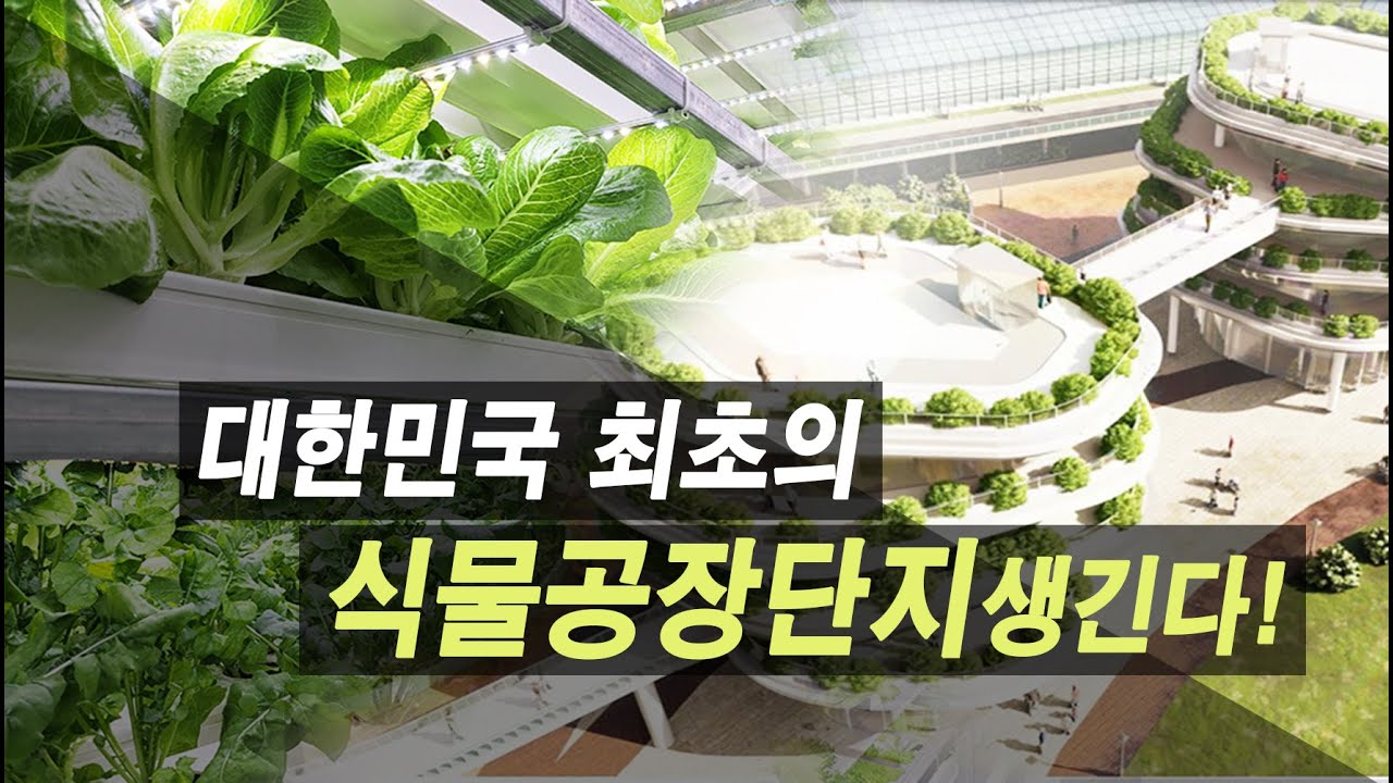 AI농부가 뿌린 씨앗 울주형 스마트팜