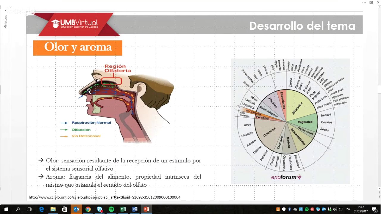 Módulo III. Análisis sensorial