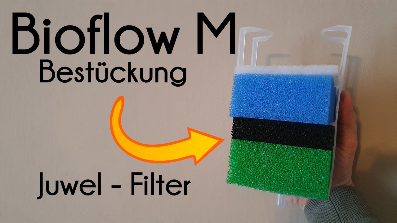 Juwel Bioflow M bestücken (107)