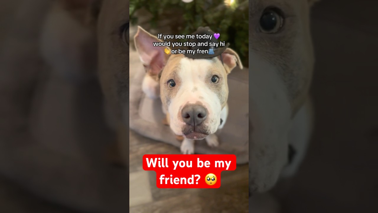 Let’s be friends! 🥰 