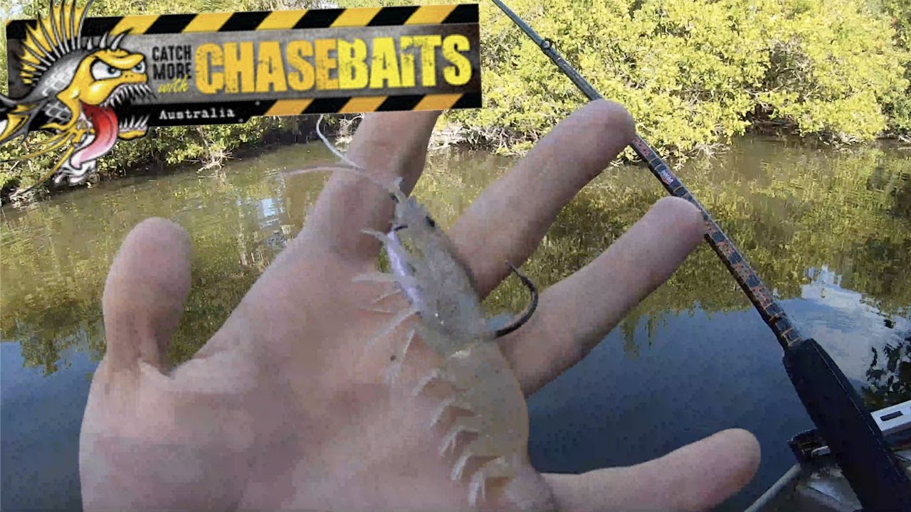 How to Sight Fish Huge Snook!