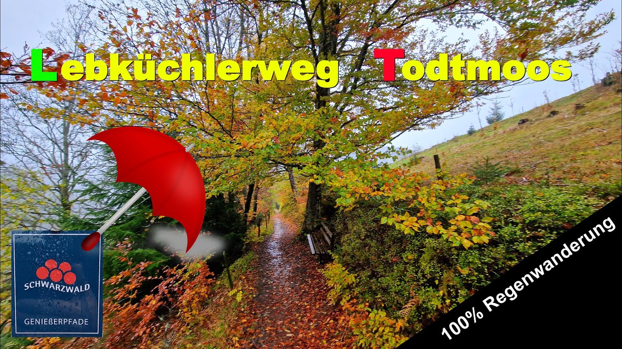 Premiumwanderung Lebküchlerweg in Todtmoos (Südschwarzwald), Regenwanderung ☔