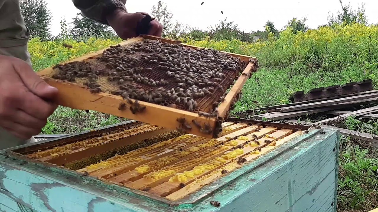 Експеримент 
