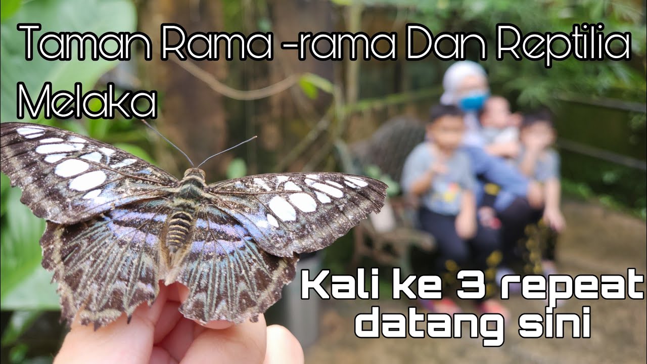 FULL TOUR | Taman Rama-rama Dan Reptilia Melaka | Melaka Butterfly And Reptile Santuary