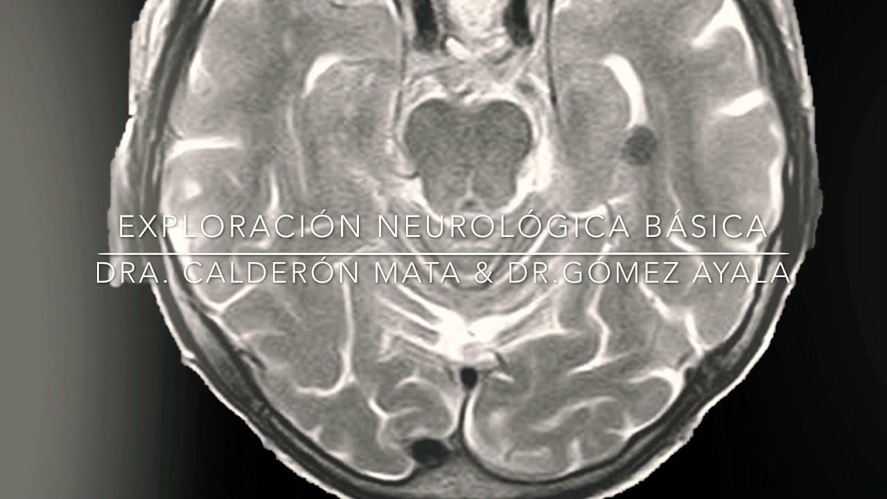 Exploraci&oacute;n Neurol&oacute;gica B&aacute;sica