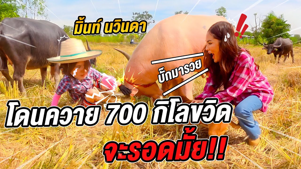 ควาย “ดีเจภูมิ” ขวิดแขกรับเชิญคากองถ่าย I ยิ่งรู้จักยิ่ง Vlog เธอ @DJPoom