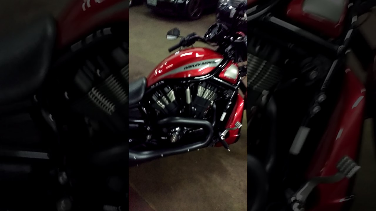 Minha opinião sobre a Night Rod 2013.
