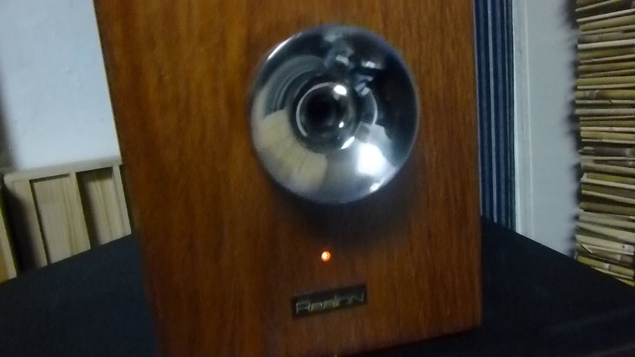 プラズマスーパーツィーター REALON リアロンＭＫ-3