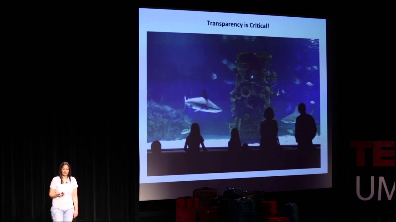 Medical tourism, your health can now be outsourced: Krystal Rampalli at TEDxUMN