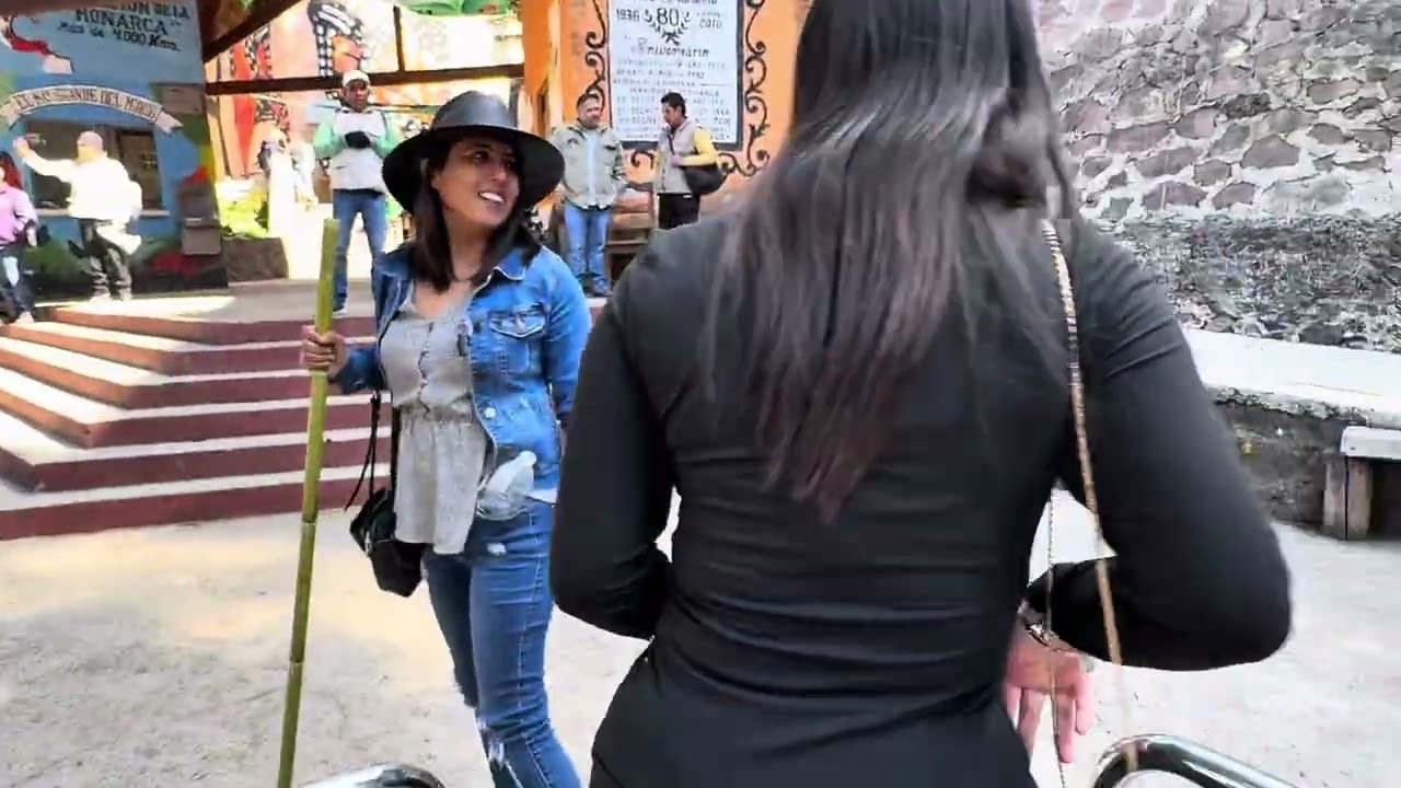 Visitando el santuario de la Mariposa Monarca 🦋