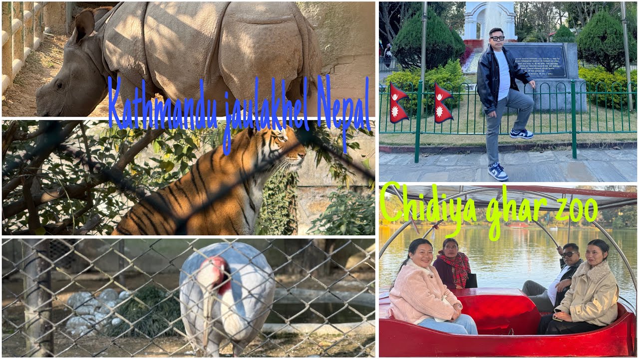 Kathmandu jaulakhel chidiya ghar zoo ko video 😶😶😶🇳🇵🇳🇵🇳🇵🇳🇵🌹🌹🌹🌹💐💐Mama,s vlogs ❣️❣️