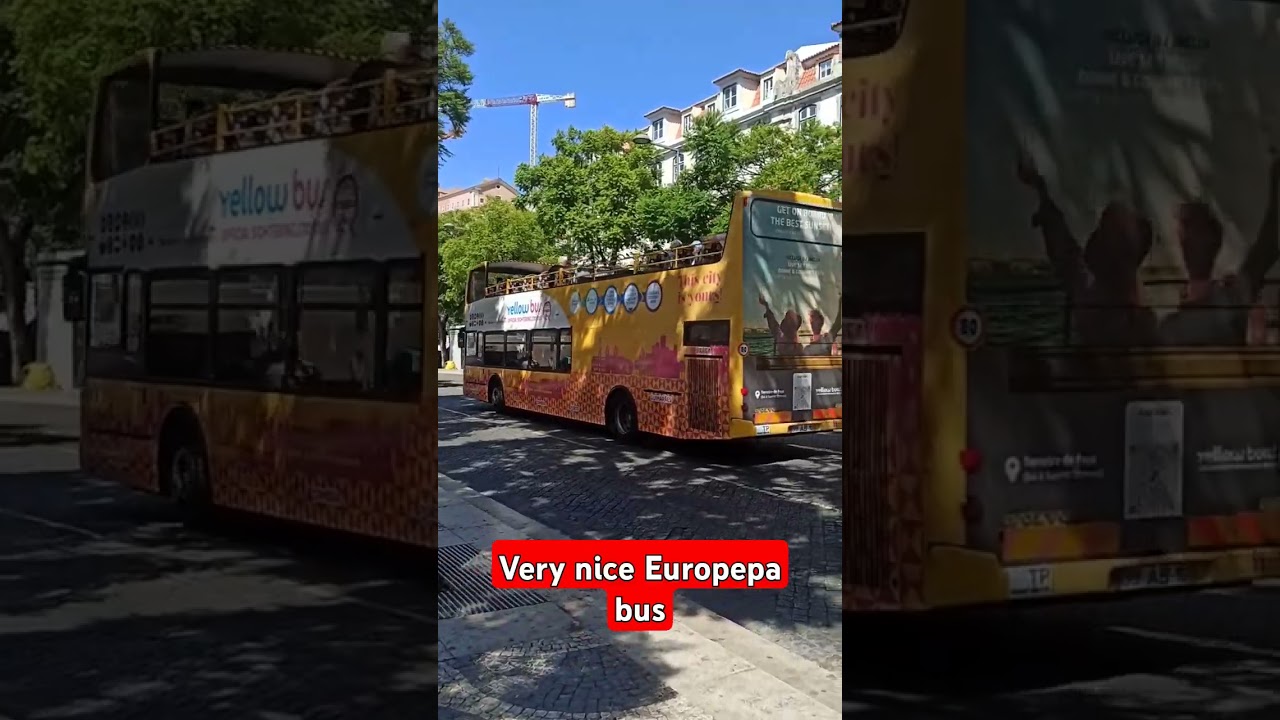 Very nice Europepa bus #shots #europe #bus #nice #youtubeshorts
