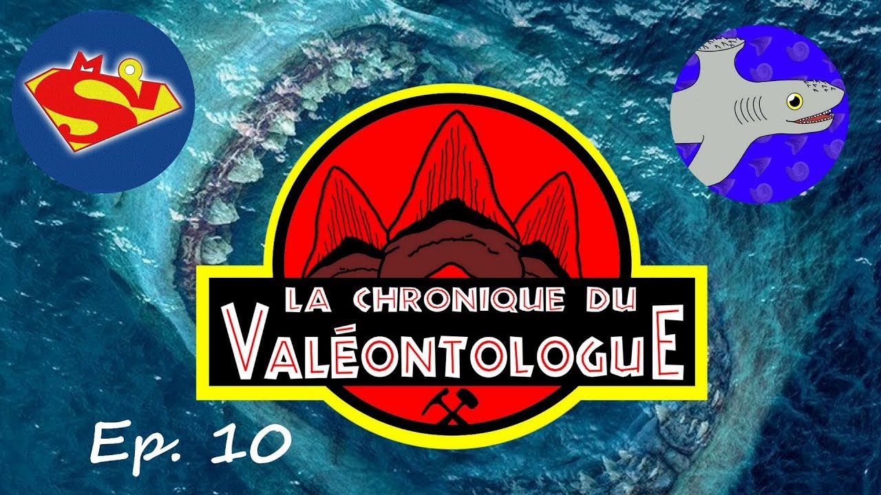 LCDV 10 -  Avis sur 
