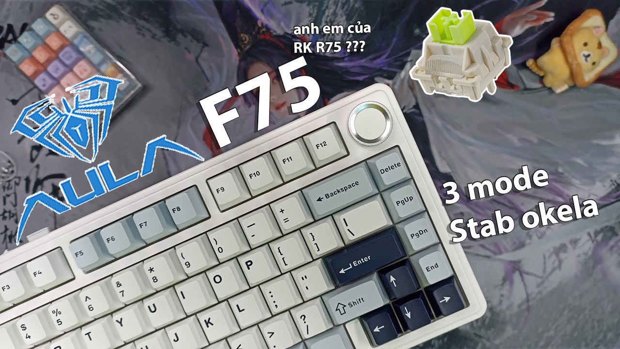 AULA F75 | Anh em song sinh khác cha khác mẹ với bàn phím hãng R nào đó? | Hướng dẫn tải Driver
