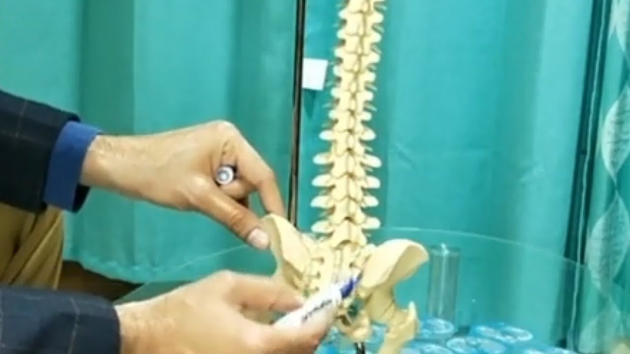 Ankylosing  Spondylitis  Part 1 : Symptoms and Diagnosis