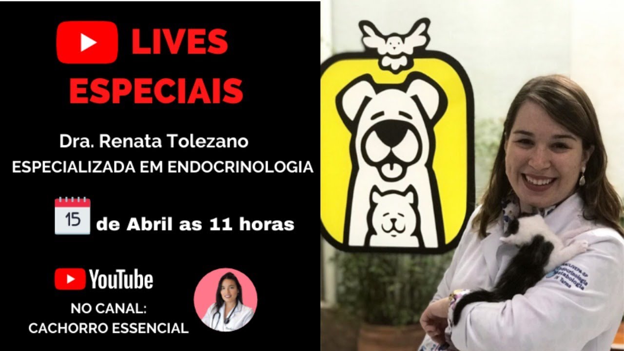 Obesidade em Cães