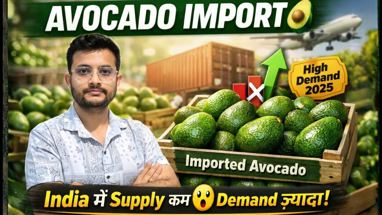 🌍🥑 Import Avocado in India | High Margin Product | By Rajnish Sir | CIES