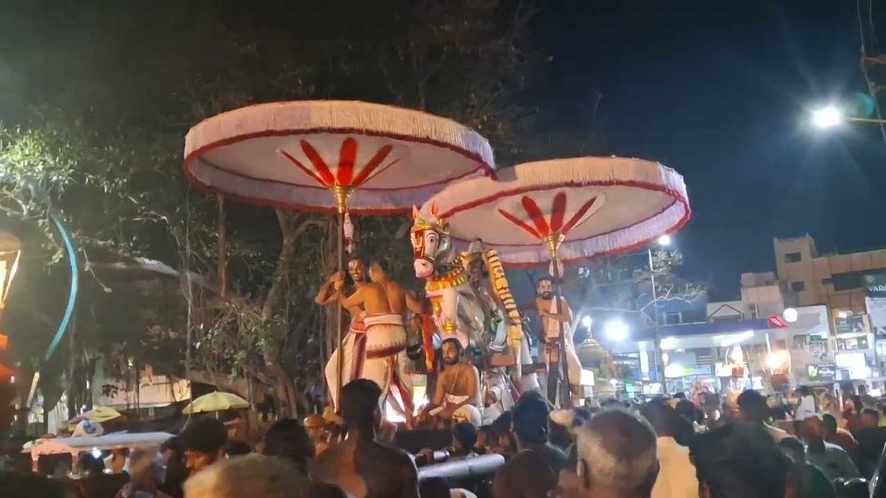 19.03.2026 காஞ்சி.ஸ்ரீ யதோத்காரி பெருமாள் ப்ரம்மோத்ஸவம் 8ம்நாள் மாலை ஸ்ரீகுதிரை வாஹனம் பால.கேசவன்