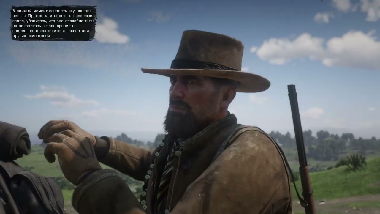 Red Dead Redemption 2 Ч-30