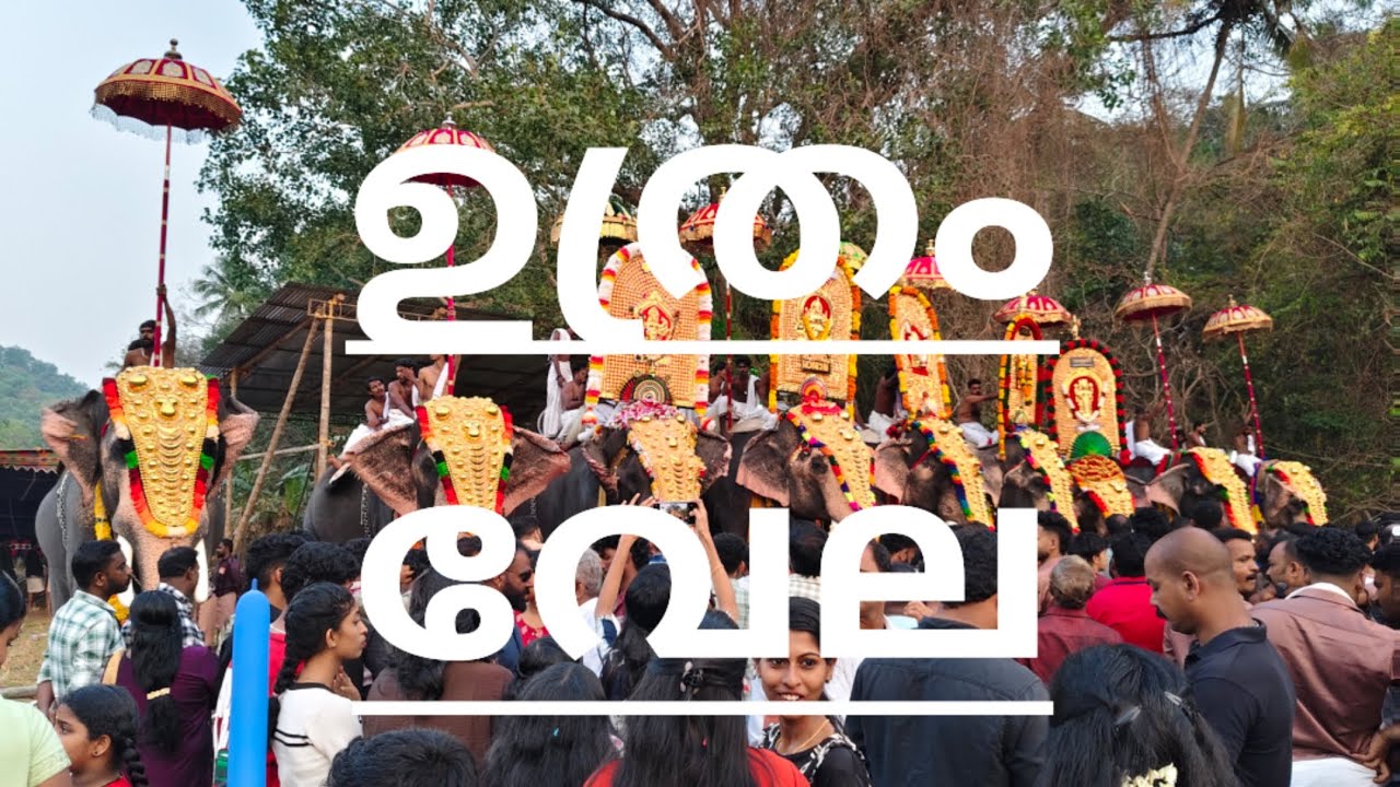 കൊടുമ്പ് അയ്യപ്പൻ കാവ് ഉത്രം വേല