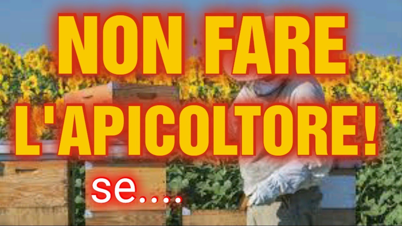 Apicoltura CD: Non devi fare l'apicoltore se .... ☠