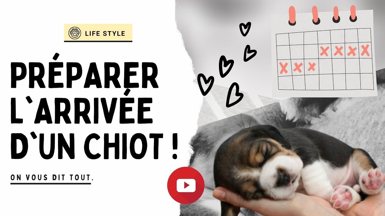 COMMENT préparer l'arrivée d'un chiot ? les achats et comment préparer la maison.