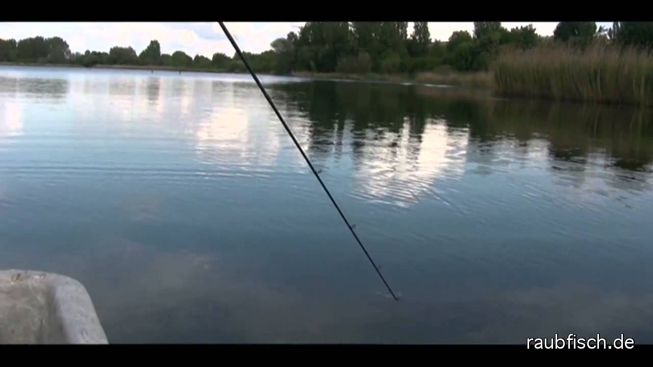 Raubfischangeln mit Sebastian Hänel am Posthornsee