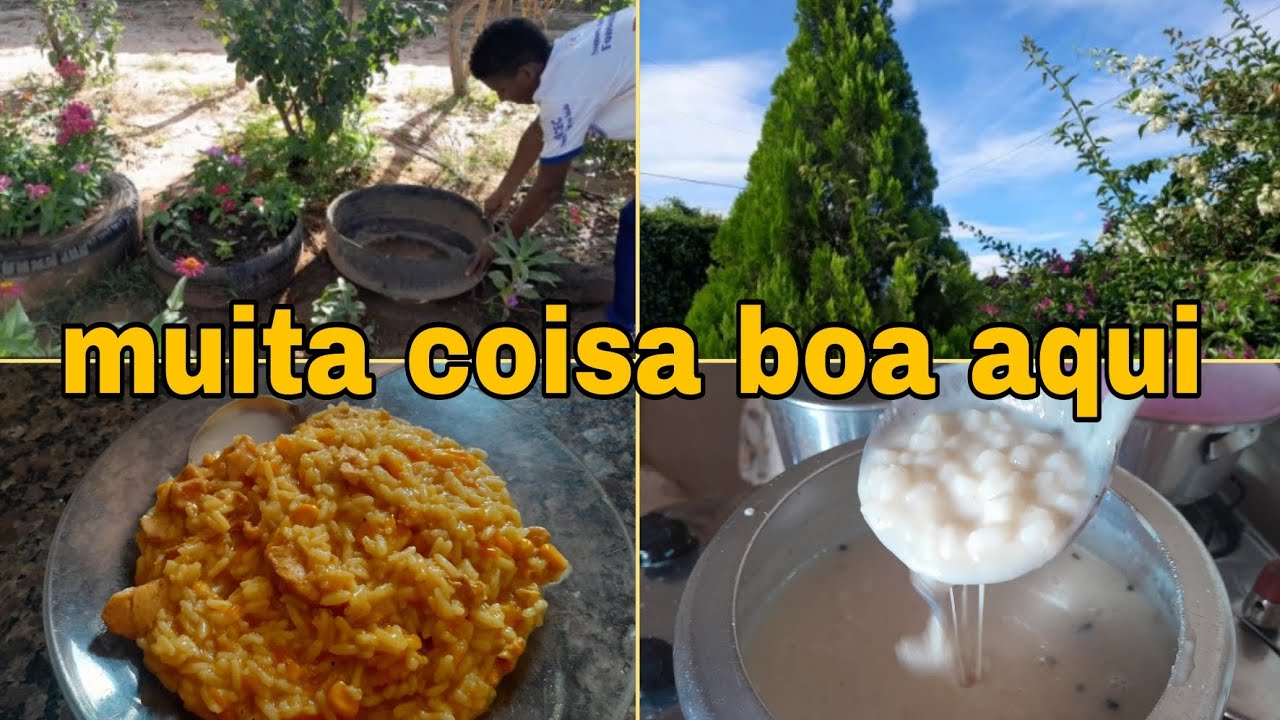 VLOG::MUDEI AS PLANTAS FIZ ARROZ COM FRANGO E UMA CANJICA BOA