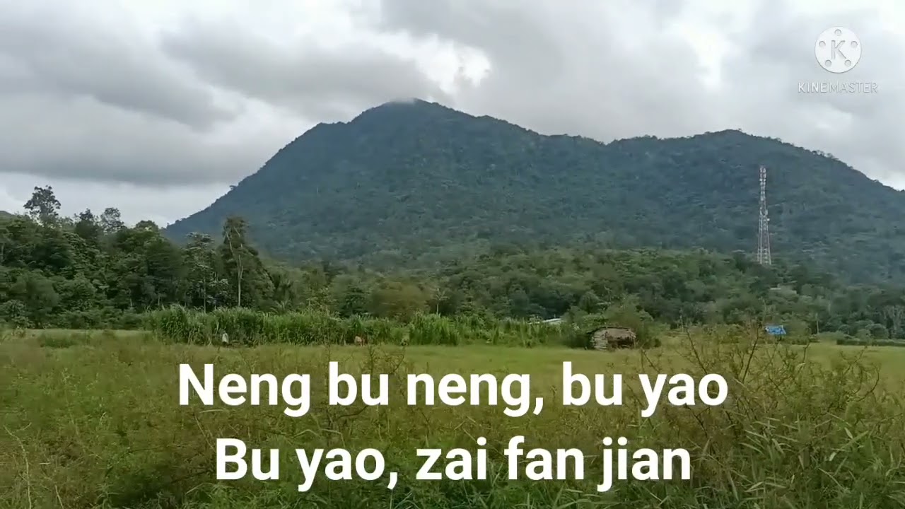 Bu wan Liu mei Hui tou
