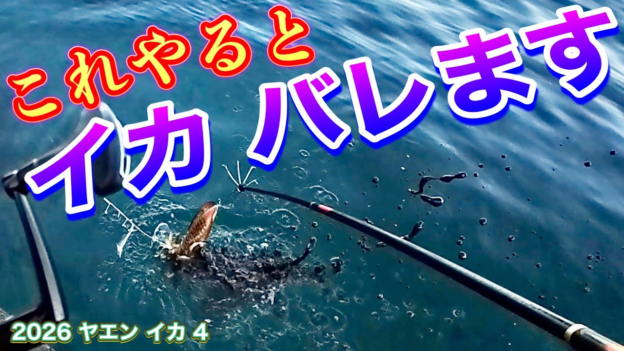 2026 ヤエン （イカ） ４　【これやると  イカバレます】