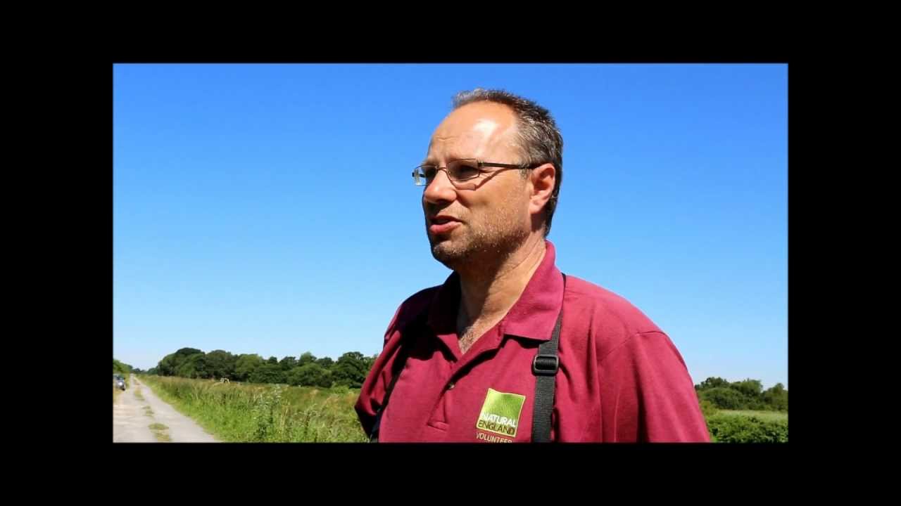 Great White Egrets first time breeding UK 2012 Interview with Natural England.