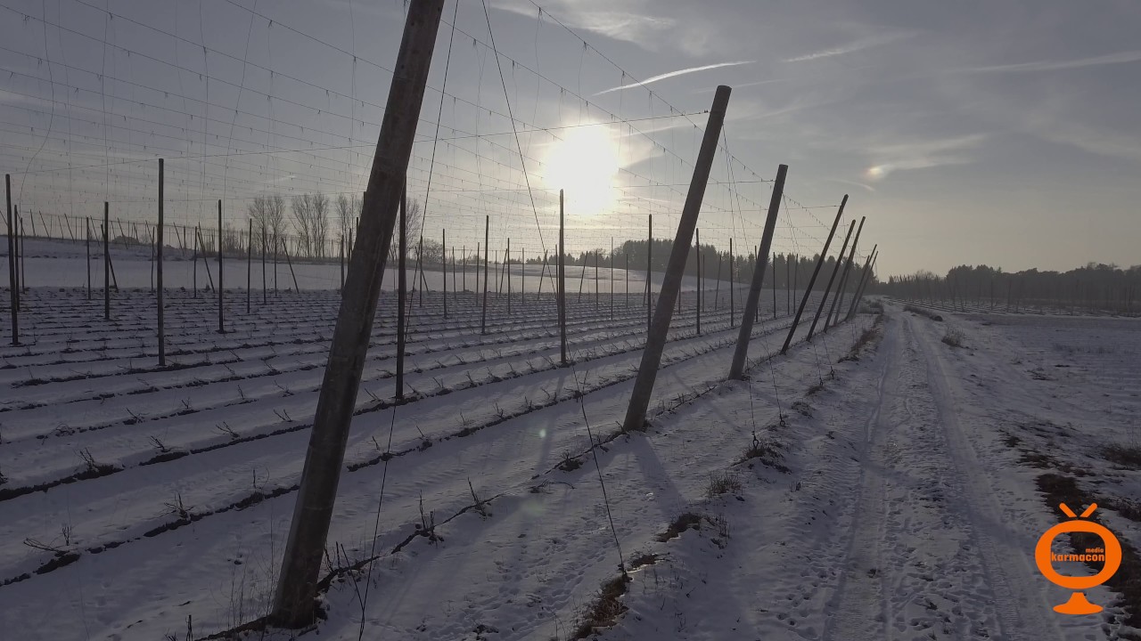 Hopfengarten im Winter 2016/17