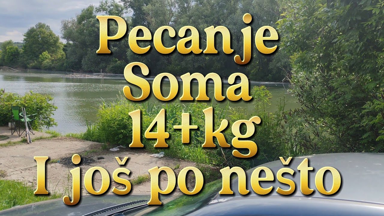 Pecanje soma