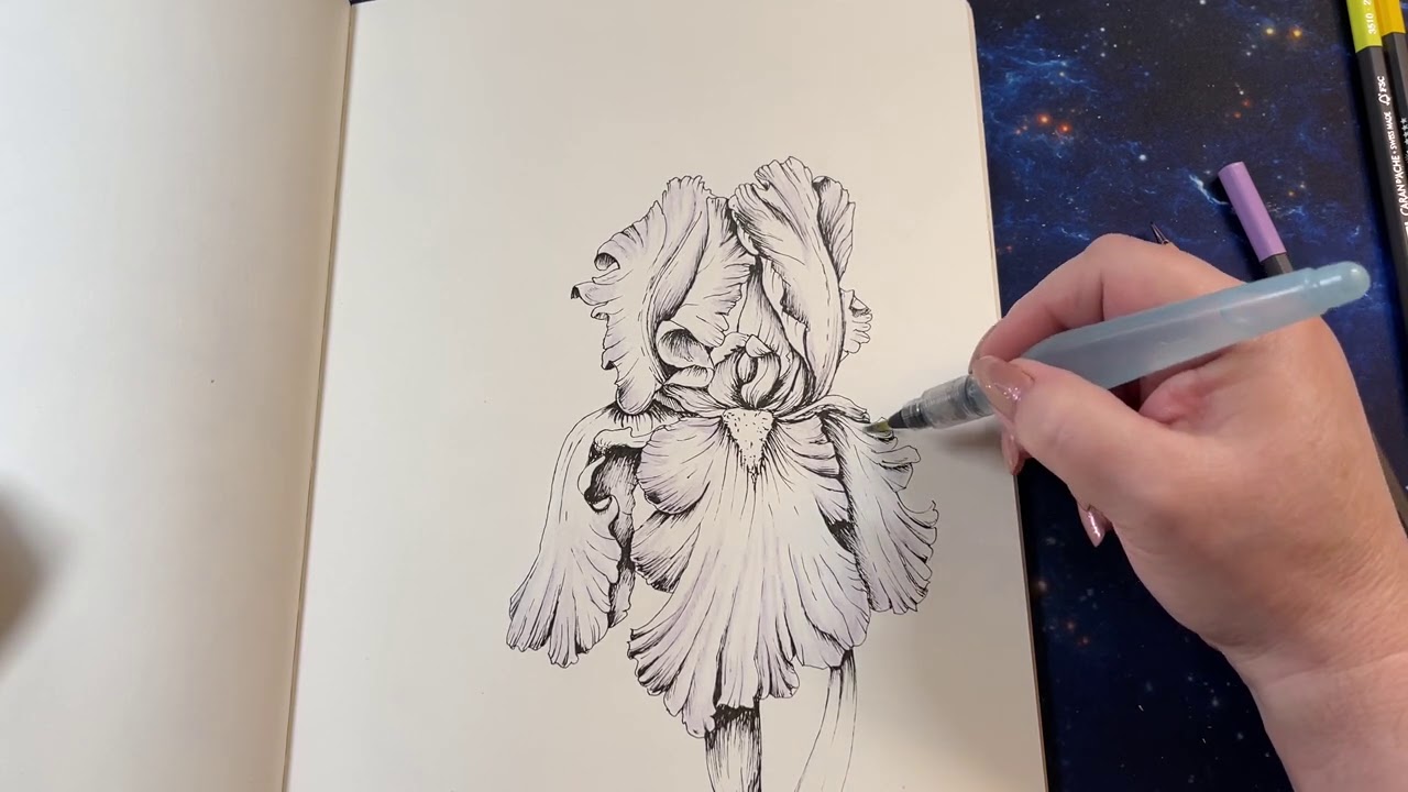 Adult Coloring - Moje Kviti Bearded Iris page